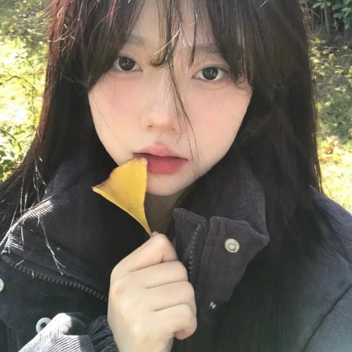 蜻蜓